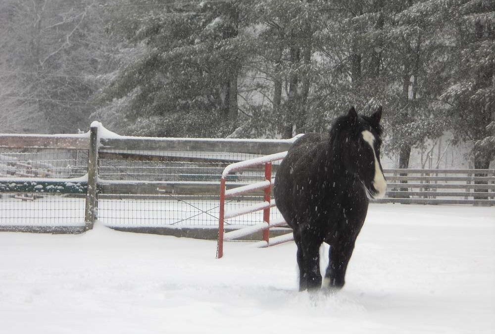 Carpe_Diem_Kaleb_Highlands_nc