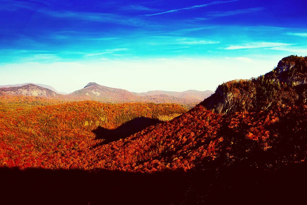 shadow-of-the-bear-sarah-valentine shadow-of-the-bear-sarah-valentine