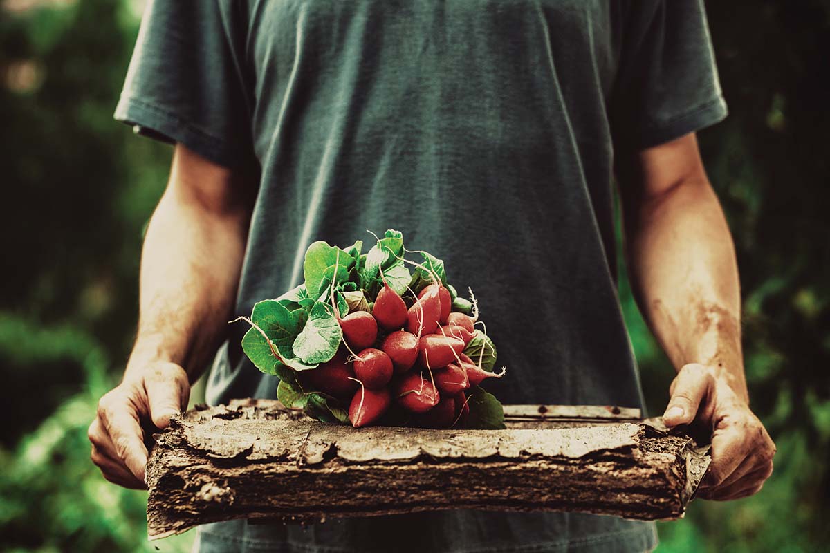 Root Bound, A Weekend Savoring of Appalachian Food and Music