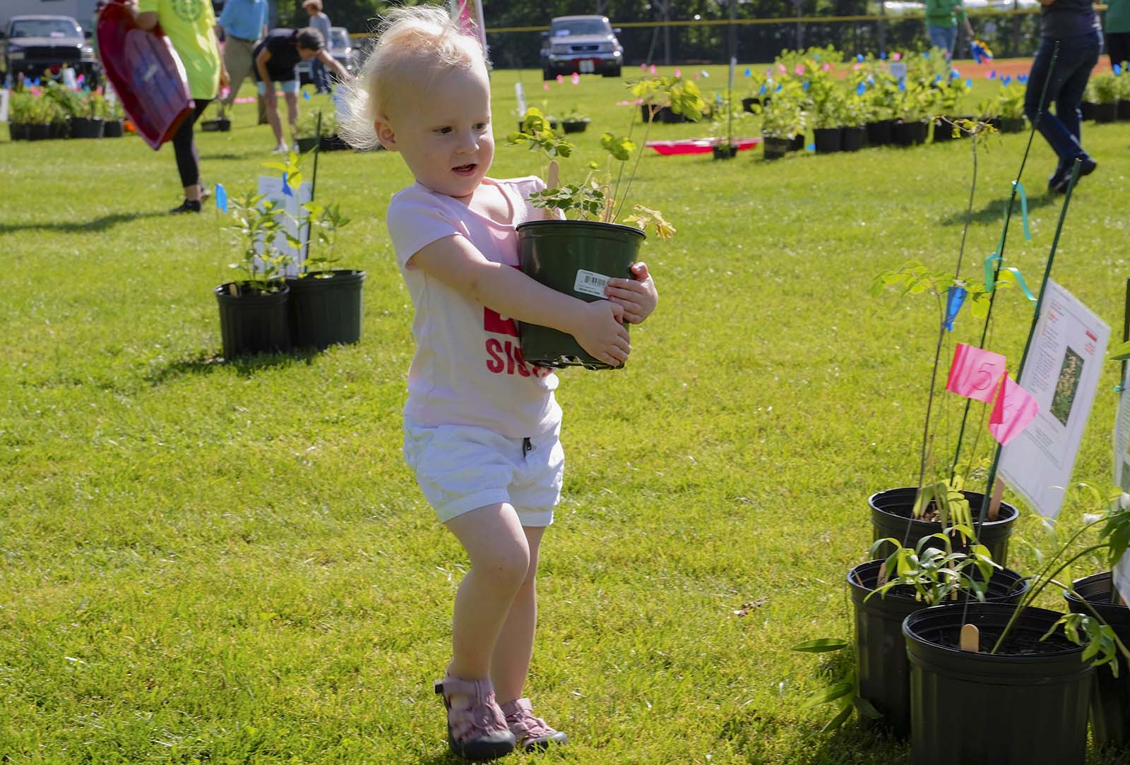 Mountain Garden Club Annual Plant Sale