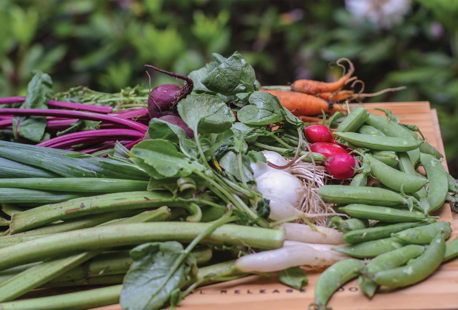 cashiers-nc-tailgate-market