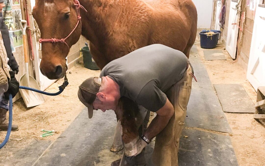 carpe-diem-farms-highlands-nc