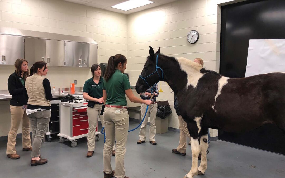 carpe-diem-farms-highlands-nc