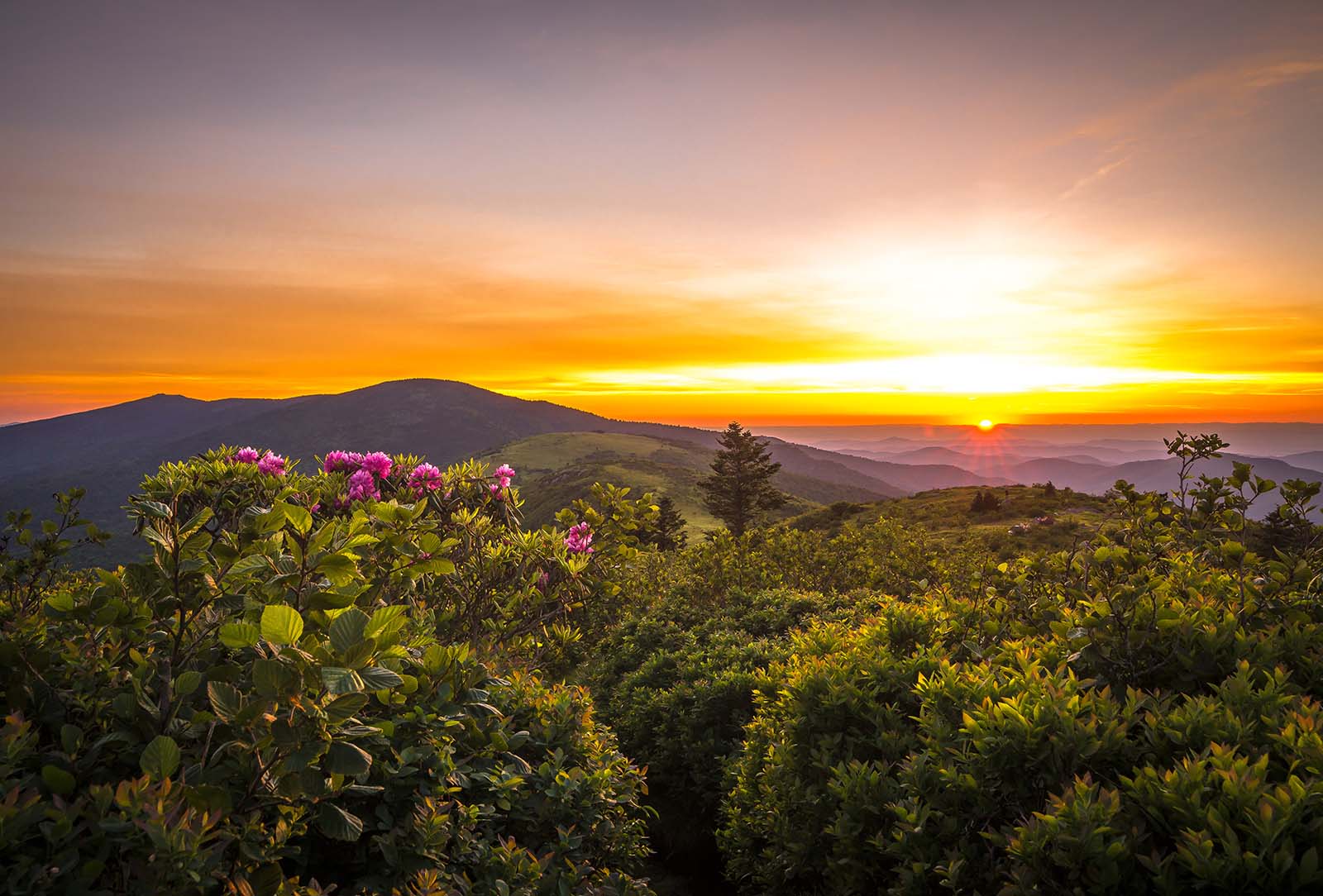 rhodo-mountains-sky-cashiers-the-highlands-north-carolina-stock