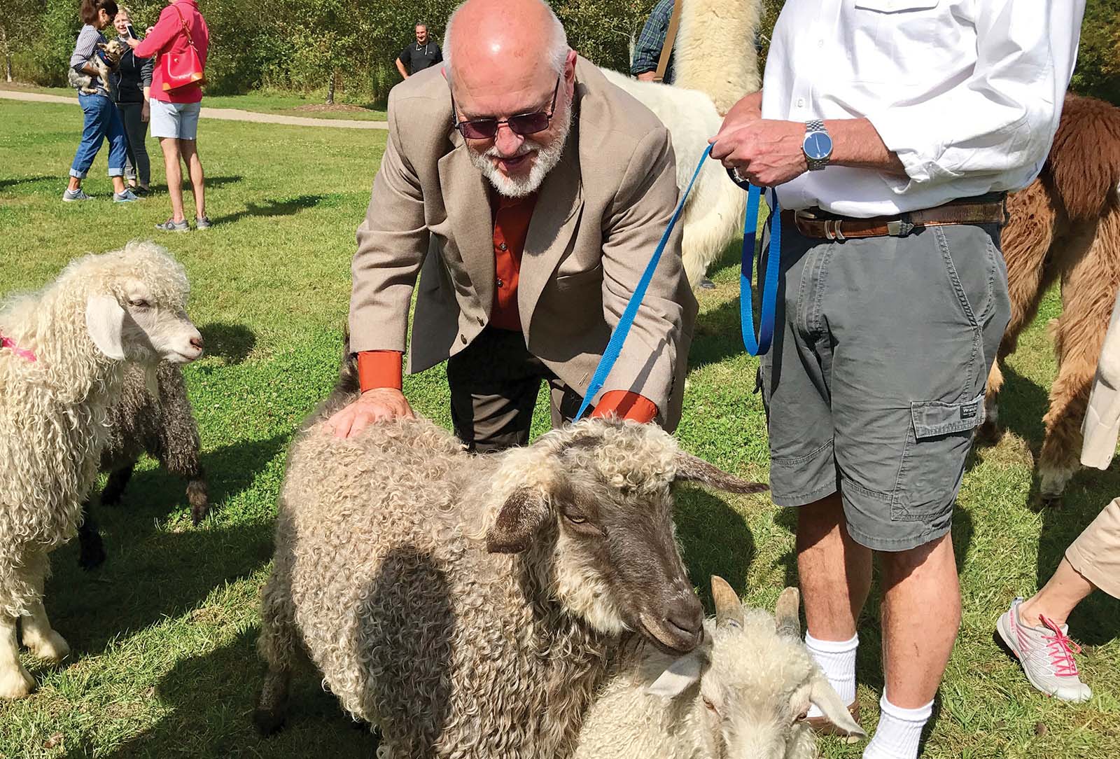 blessing of the animals village green cashiers nc