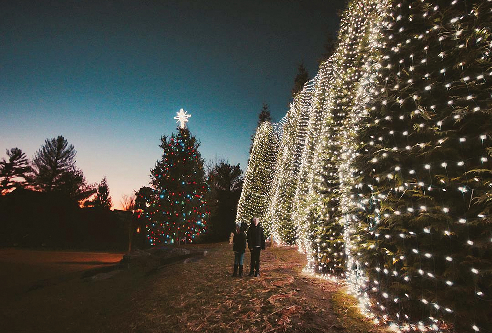 Highlands Christmas Tree Lighting