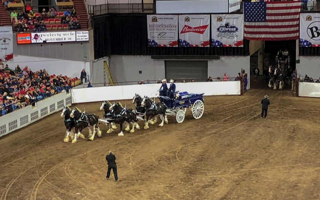 highlands-nc-carpe-diem-farms