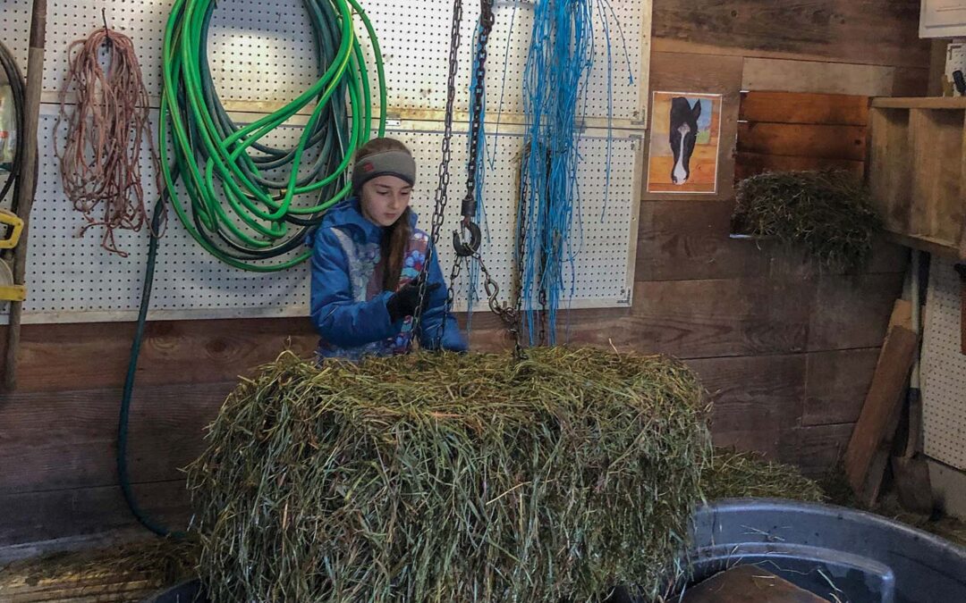 highlands-nc-carpe-diem-farms-volunteer