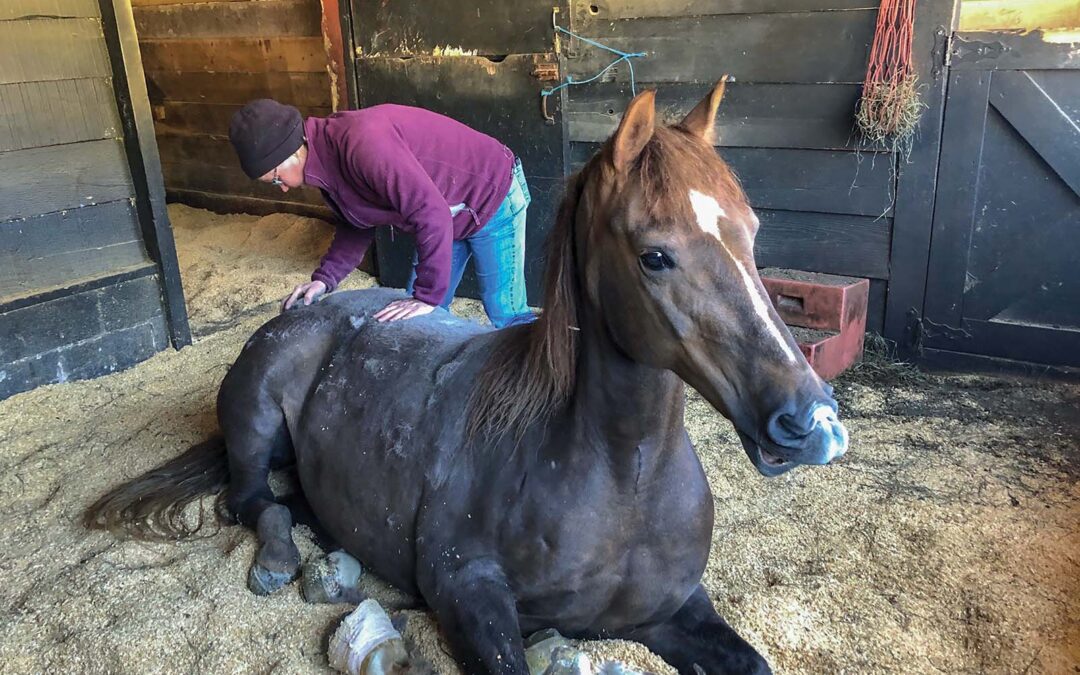 highlands-nc-outdoor-carpe-diem