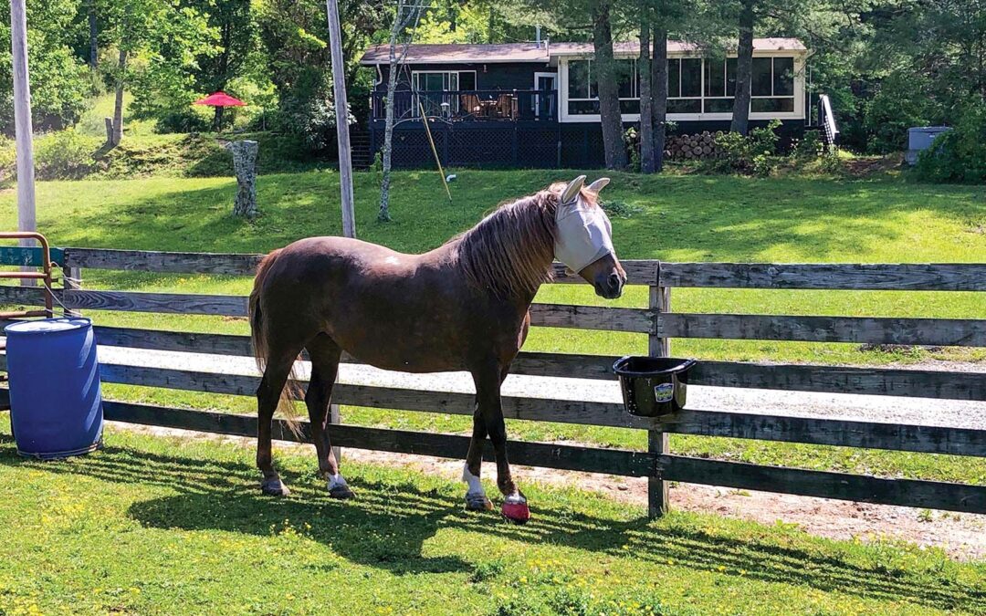 highlands-nc-carpe-diem-farms-house