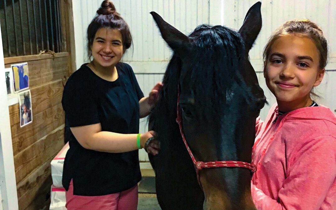 highlands-nc-carpe-diem-farms-horse-tending