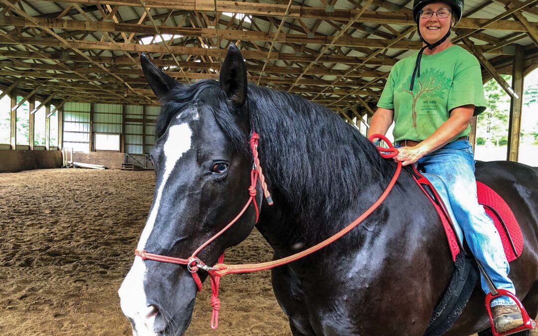 highlands-nc-carpe-diem-farms-horse