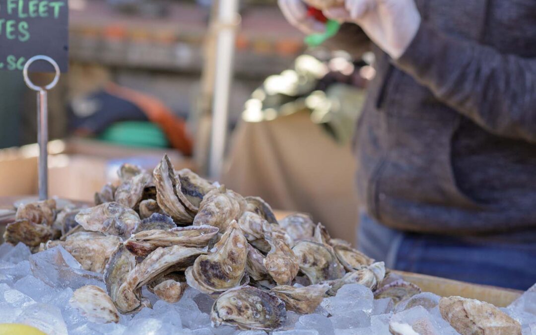 highlands-food-wine-oysters
