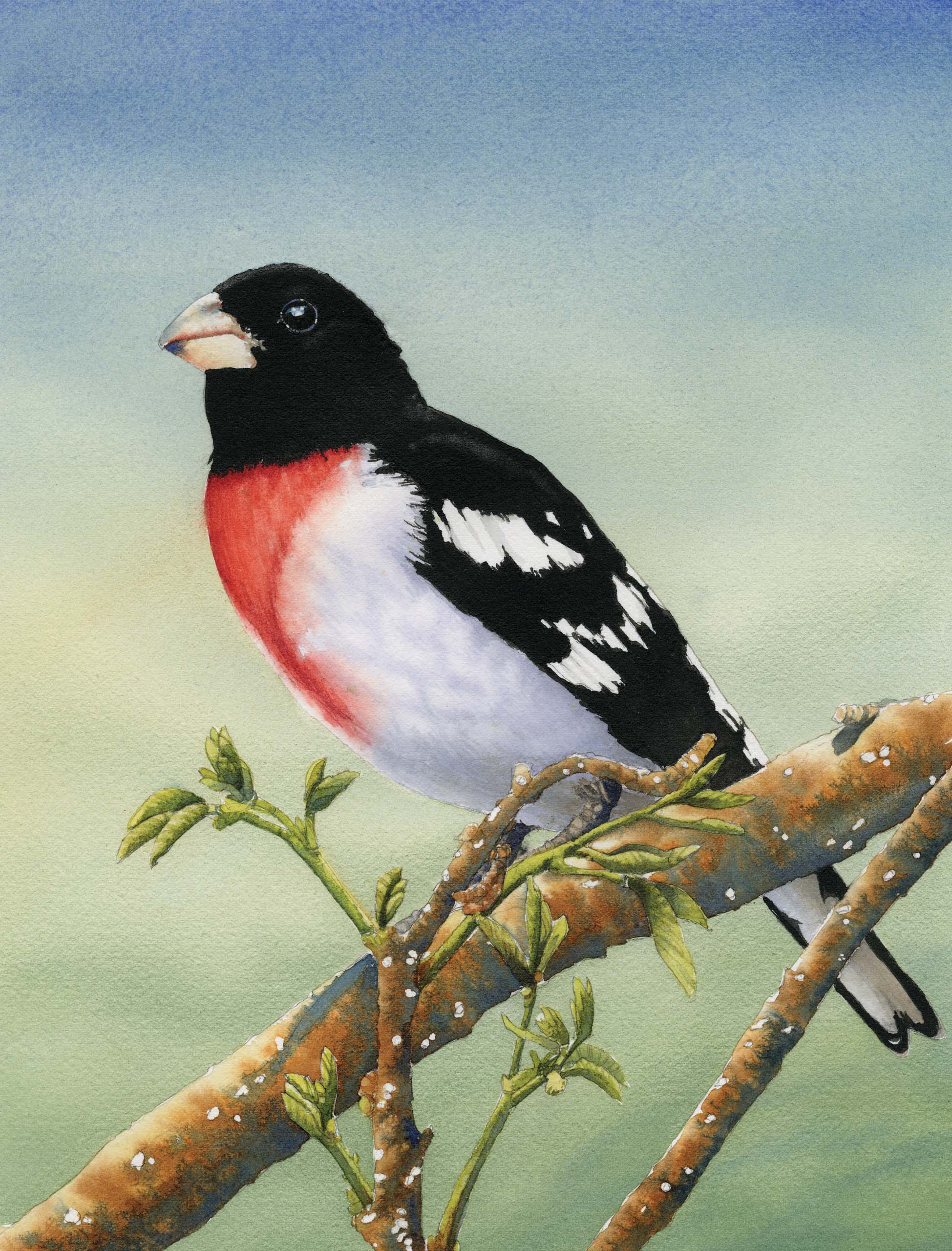 Creative Cross-Pollination