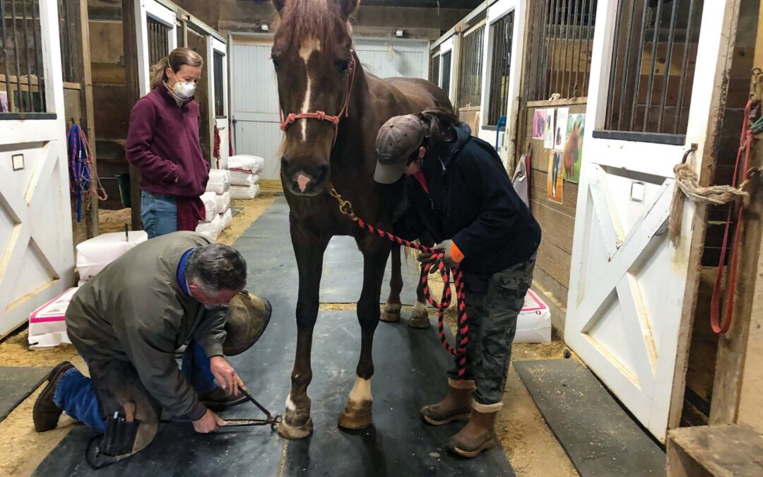 highlands-nc-carpe-diem-farms