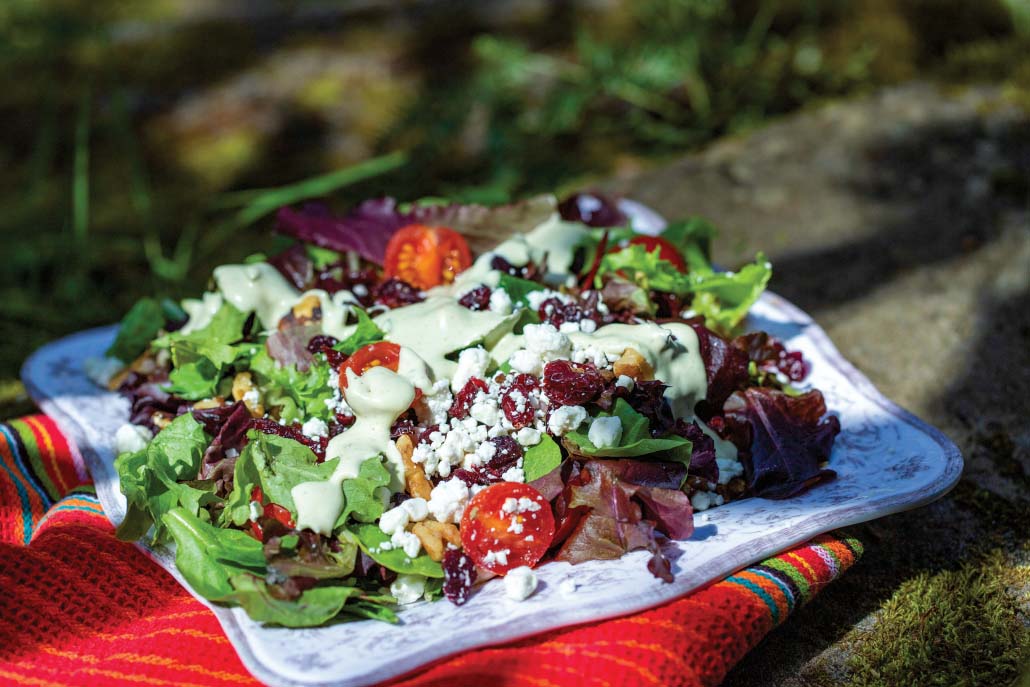 highlands-nc-the-ugly-dog-restaurant