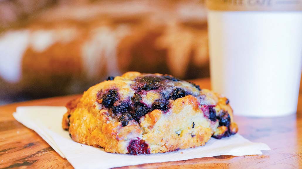 highlands-nc-dining-calders-coffee-cafe-blueberry-muffin