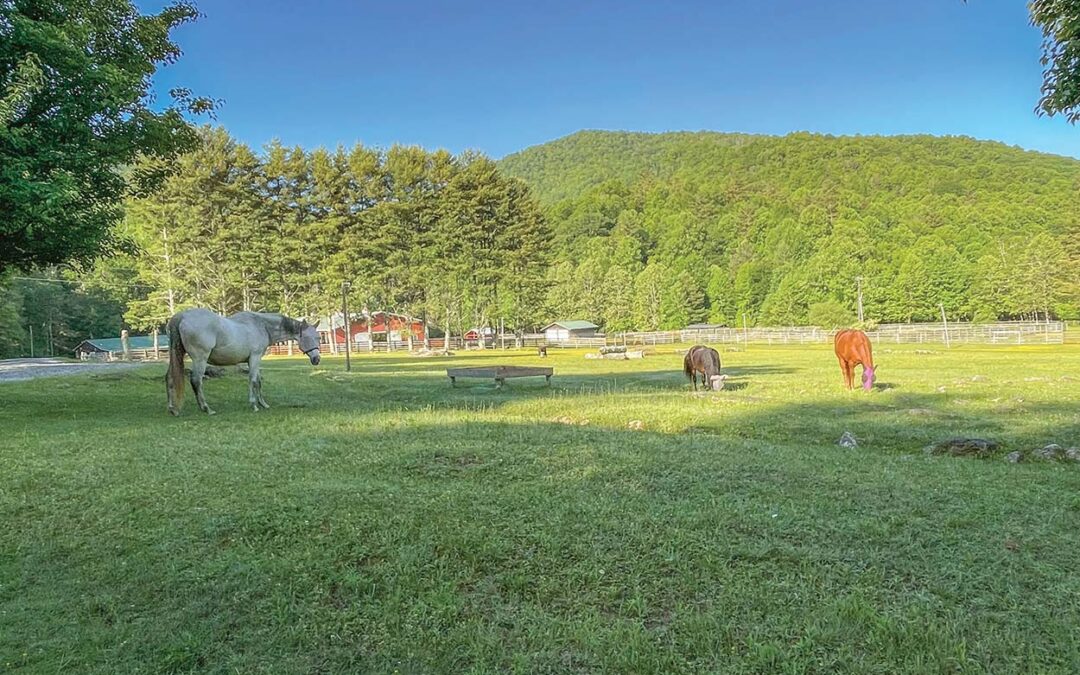 highlands-nc-carpe-diem-farms