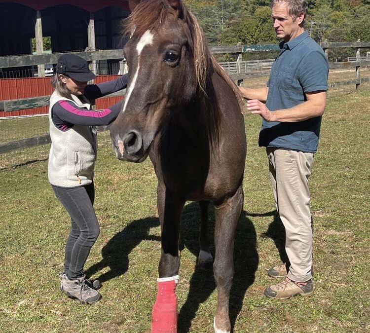 highlands-carpe-diem-farms-nc