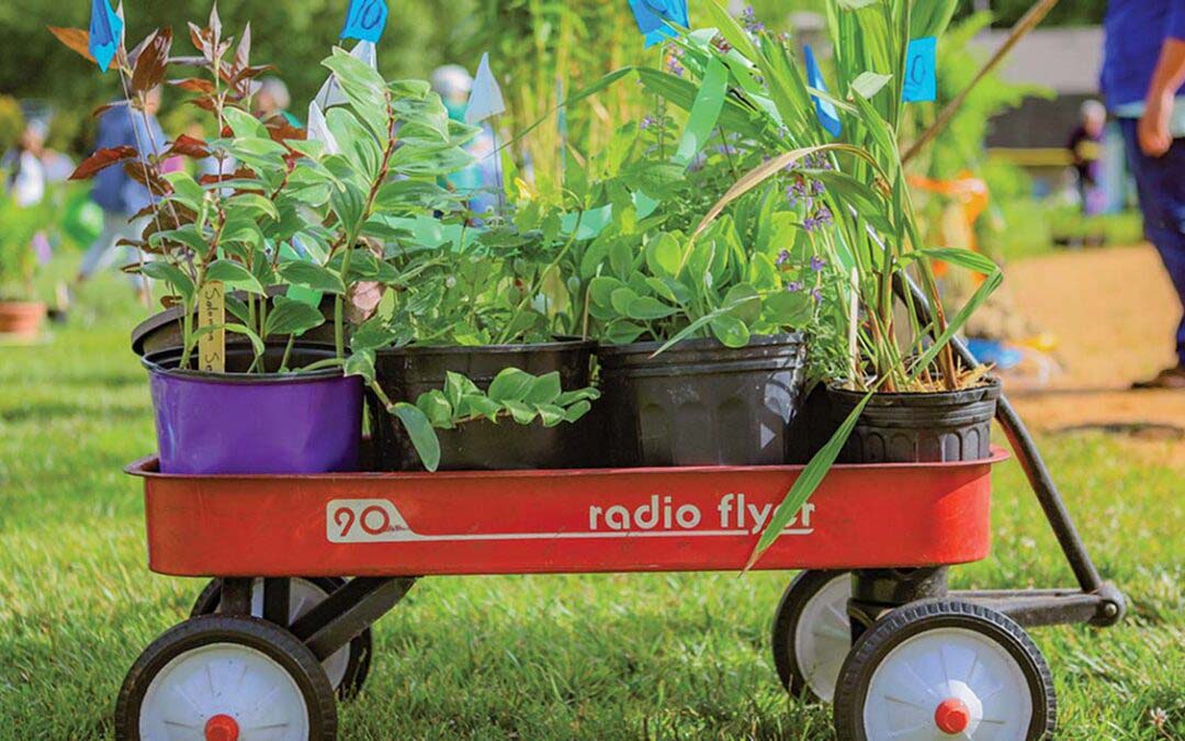 HMGC’s Annual Plant Sale