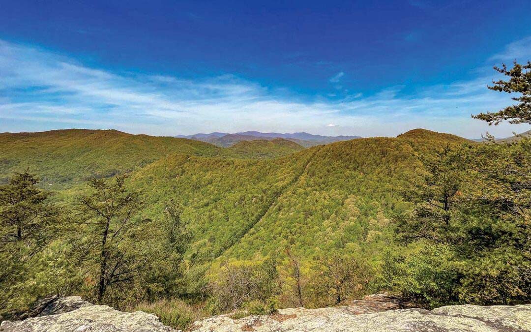 A Pinnacle Worth Pursuing