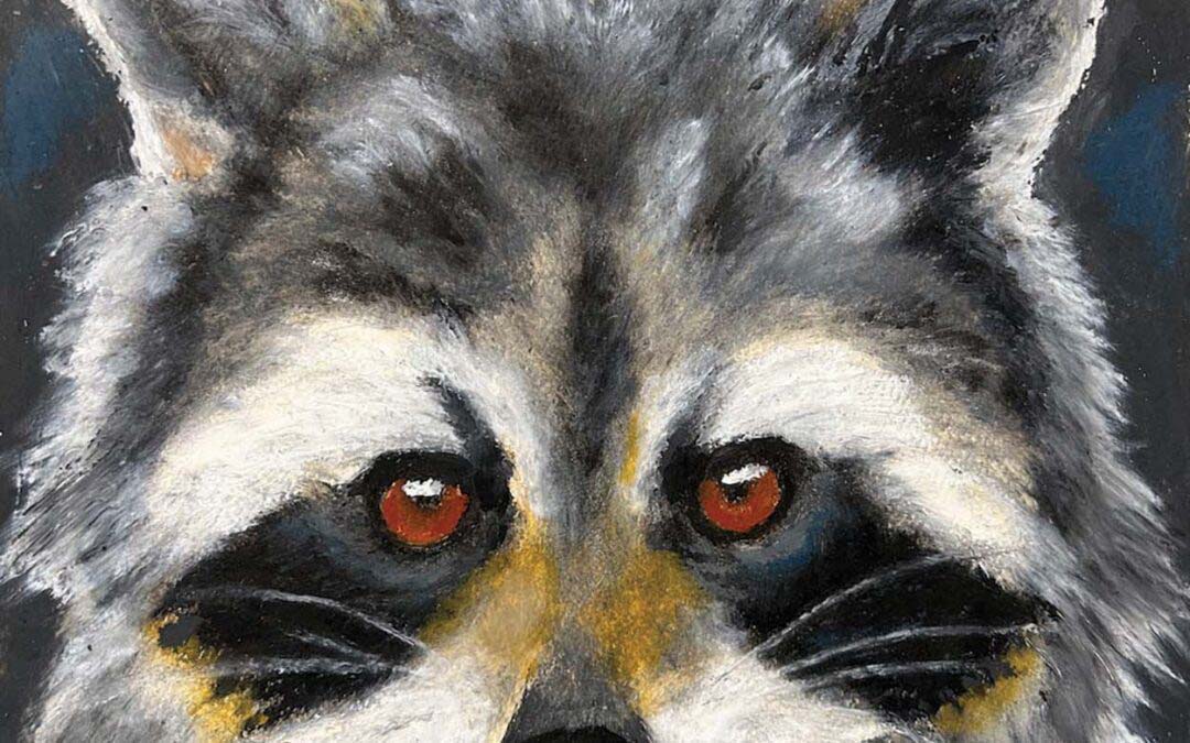 Portraits of Wildlife and Pets