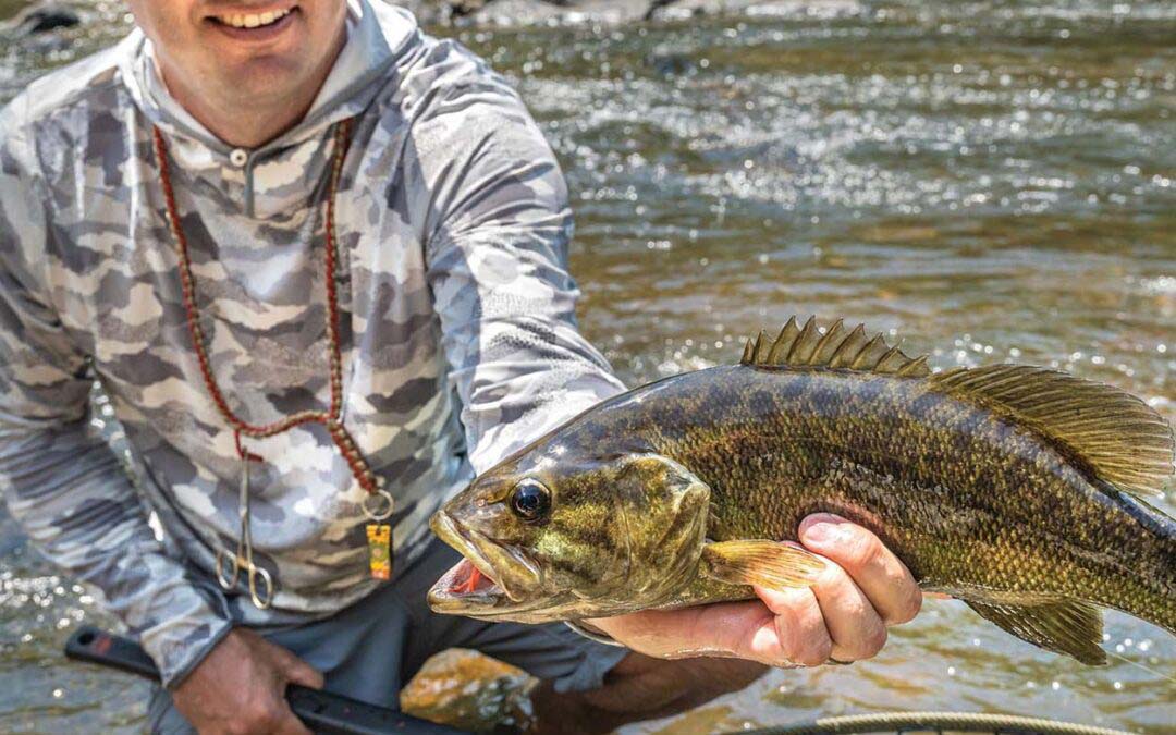 In Pursuit of the Smallmouth Bass
