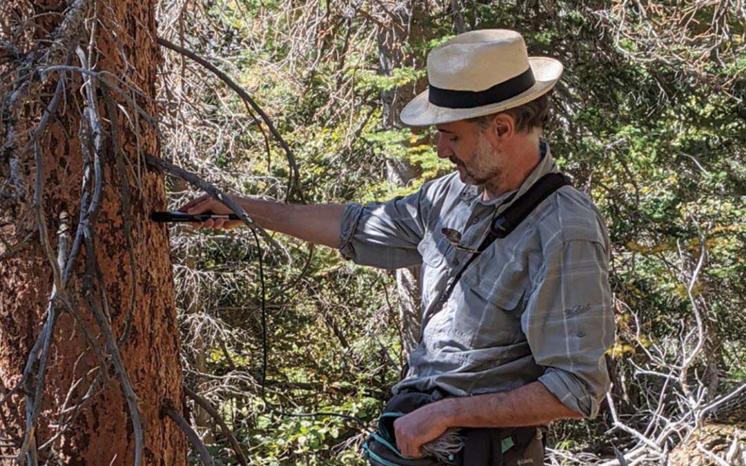 A Journey of Discovery