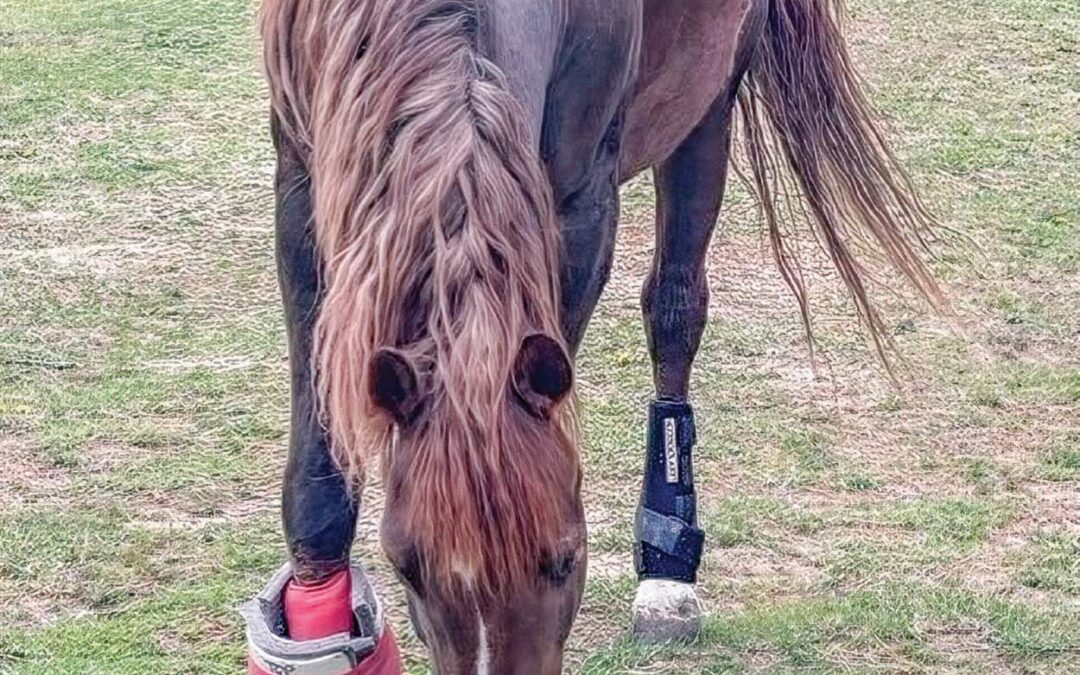 highlands-nc-carpe-diem