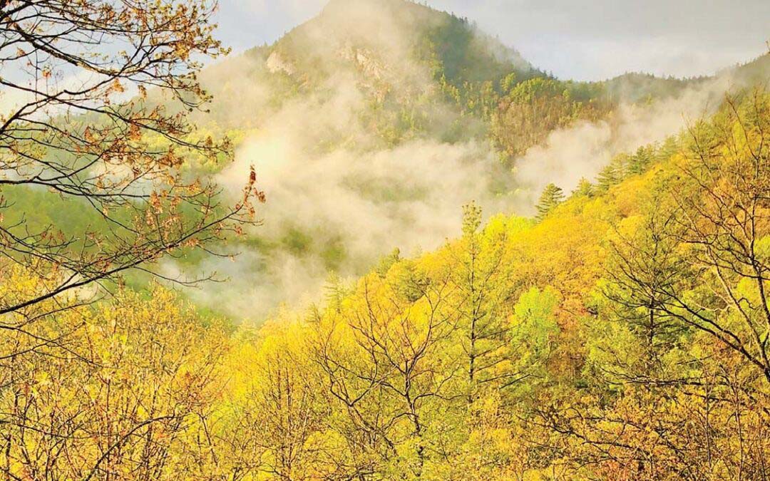 Historic Homes of Satulah