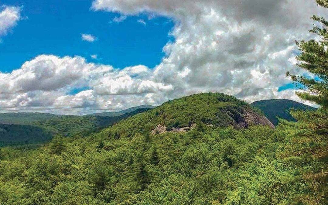 Protecting Panthertown