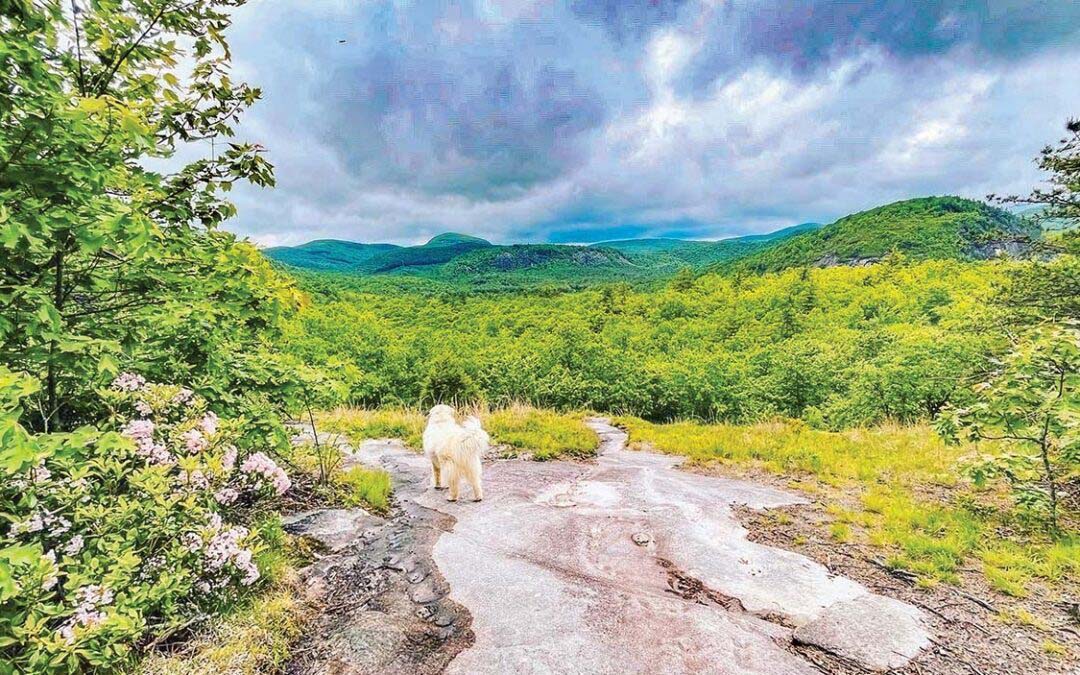 Geological Features Galore