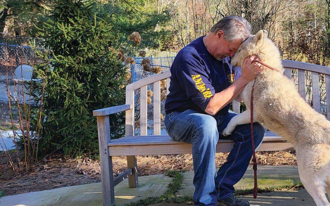 Rescue, Care, Spay, Adopt