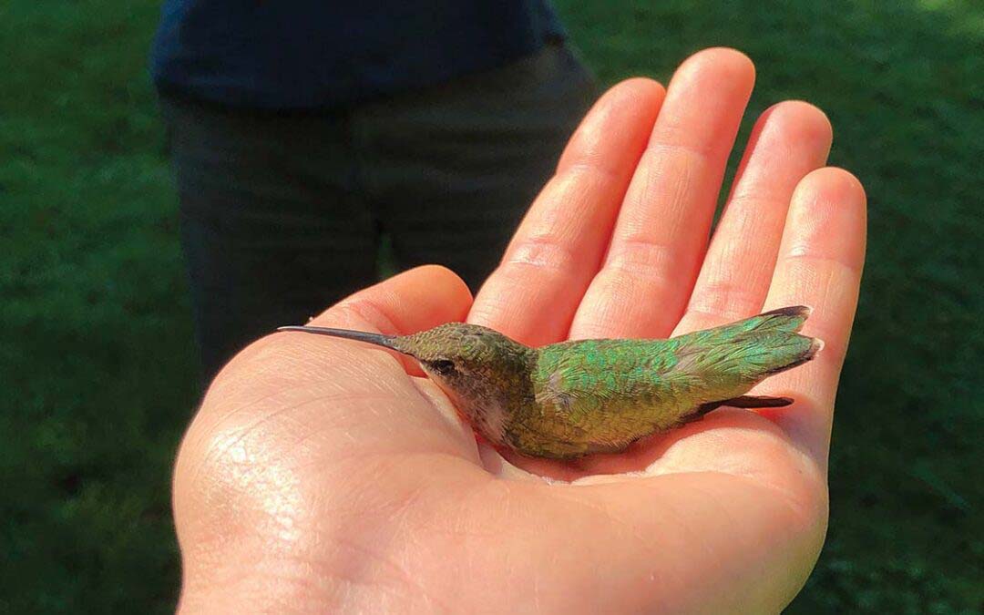 Awe-Inspiring Journeys