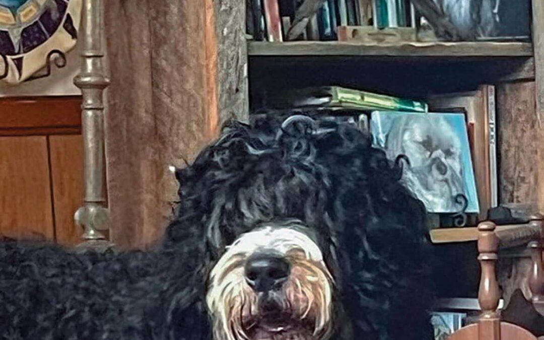 highlands-nc-carpe-diem-farms-Jethro-Blair