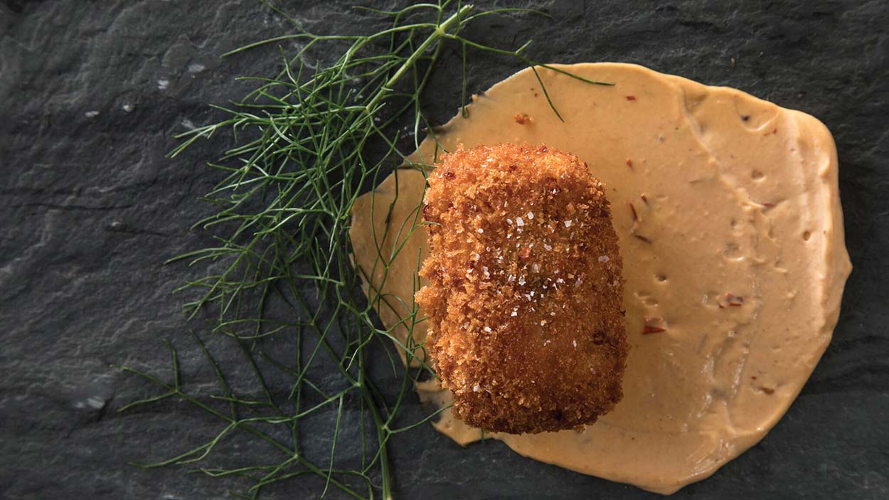 highlands-nc-skyline-under-the-stars-dish