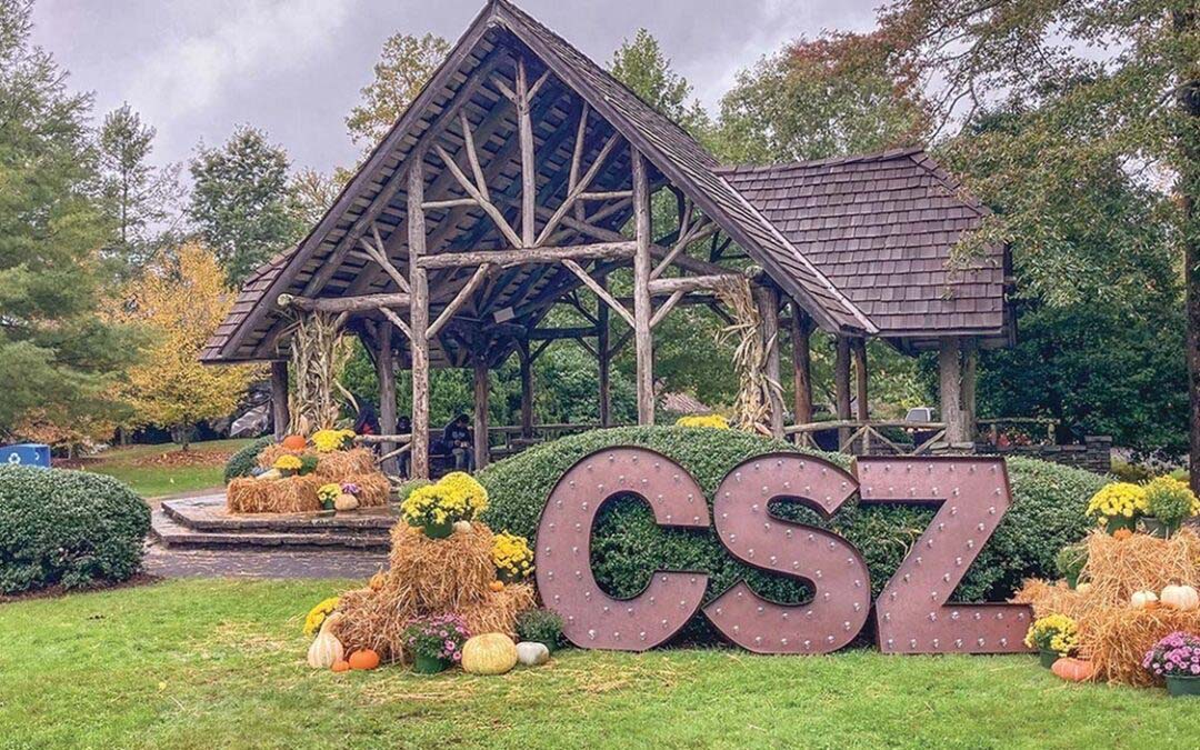 Welcome to The Leaf Festival