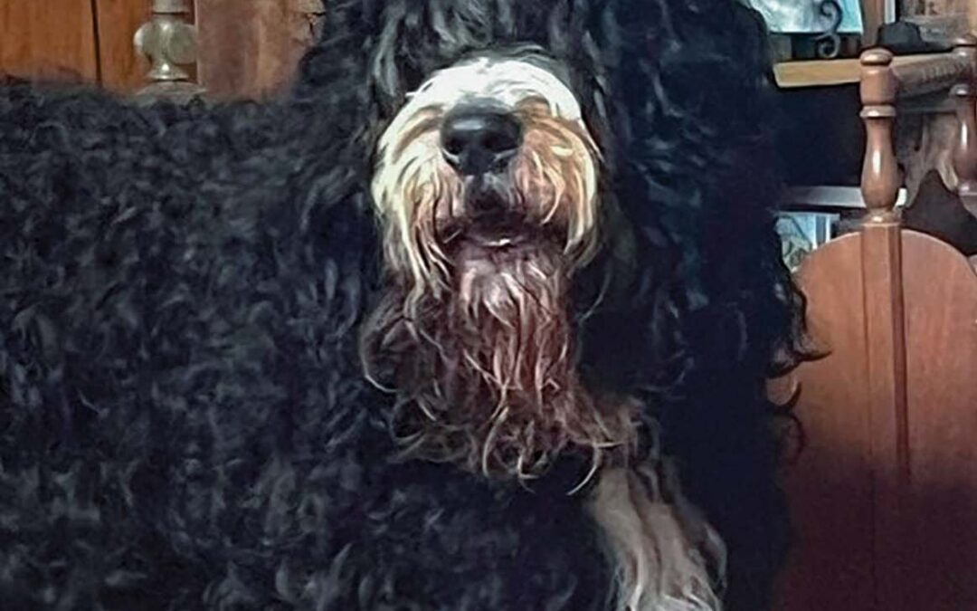 highlands-nc-carpe-diem-farms-Jethro-Blair