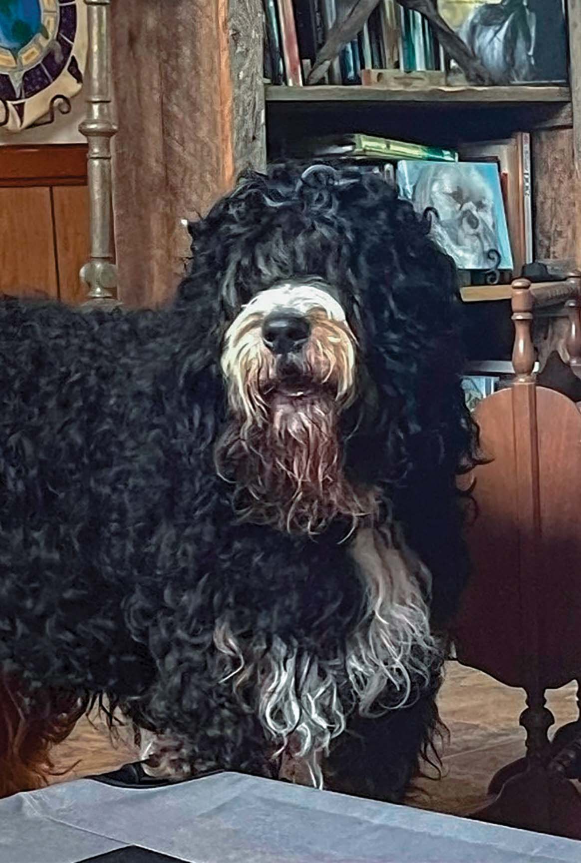 highlands-nc-carpe-diem-farms-Jethro-Blair