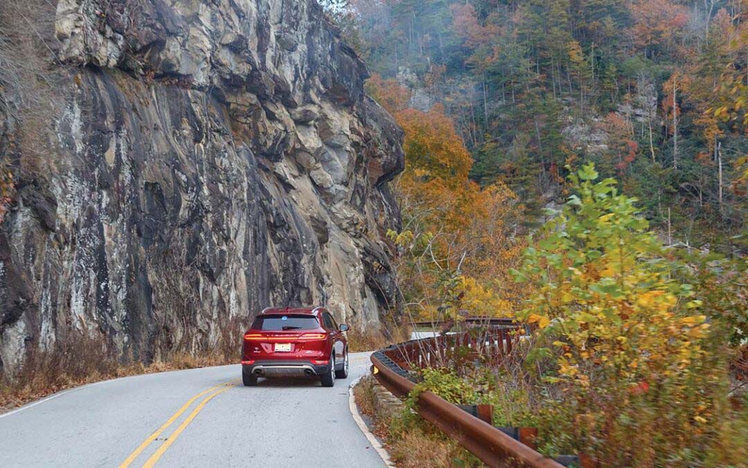 Safeguarding the Beauty