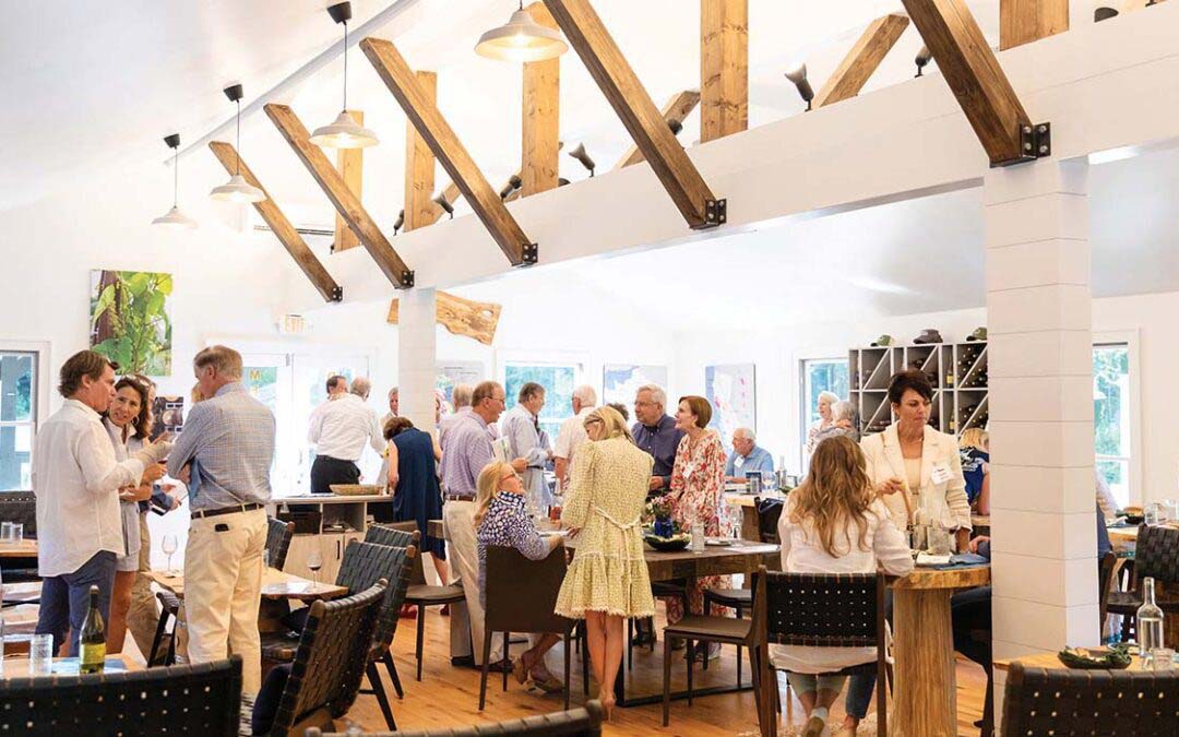 Vineyard Dreams and Mountain Allure