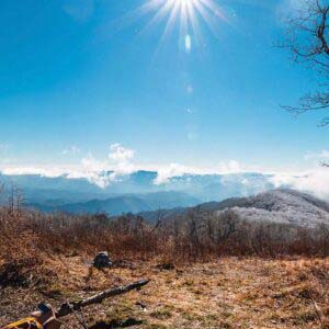 Walking With Bartraam 2023 - Cheoah Bald