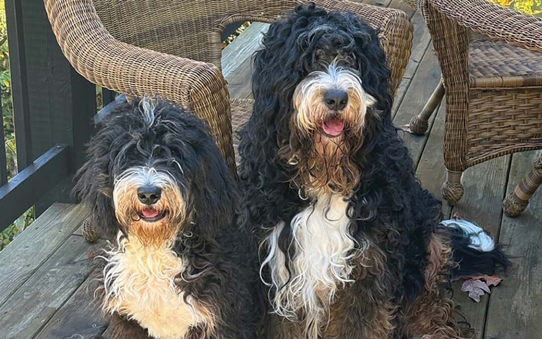 Highlands-nc-carpe-diem-farms