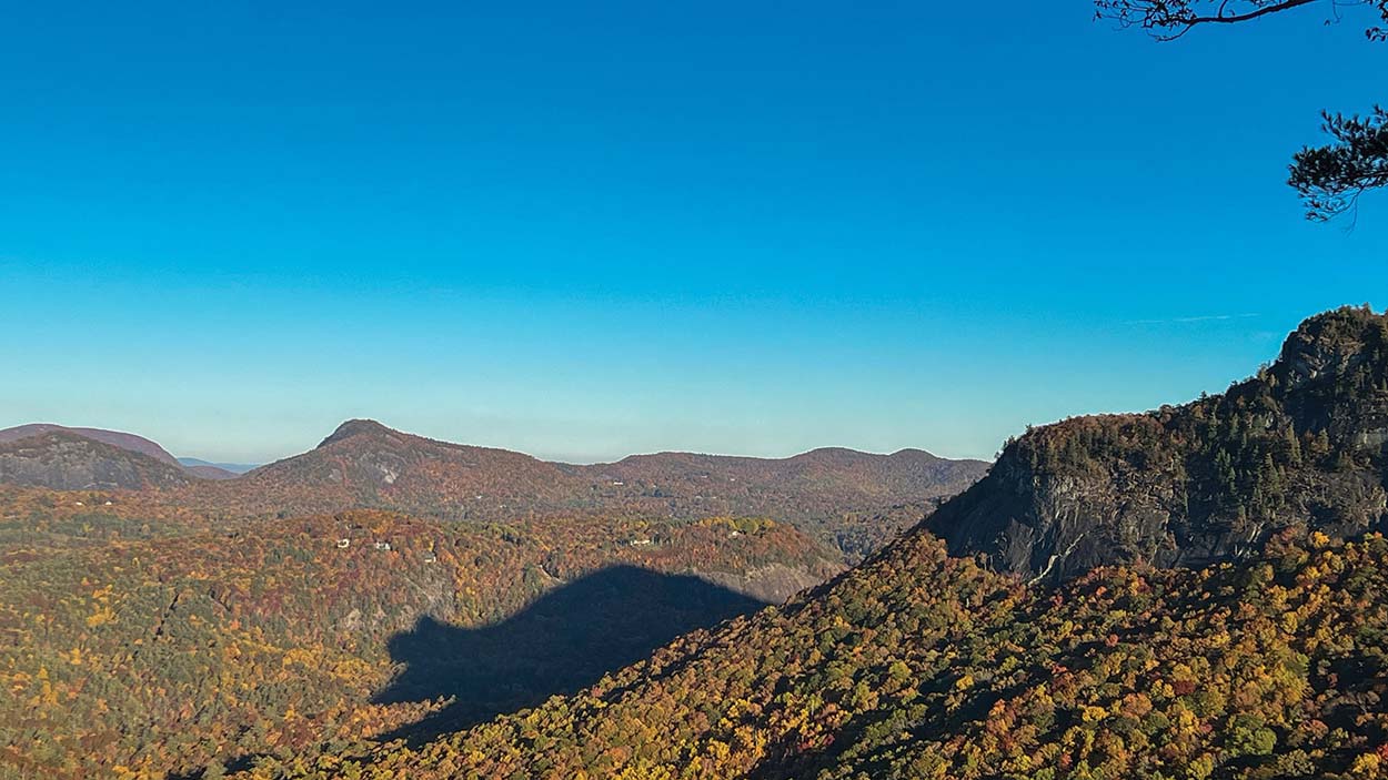 highlands-nc-bear-shadow