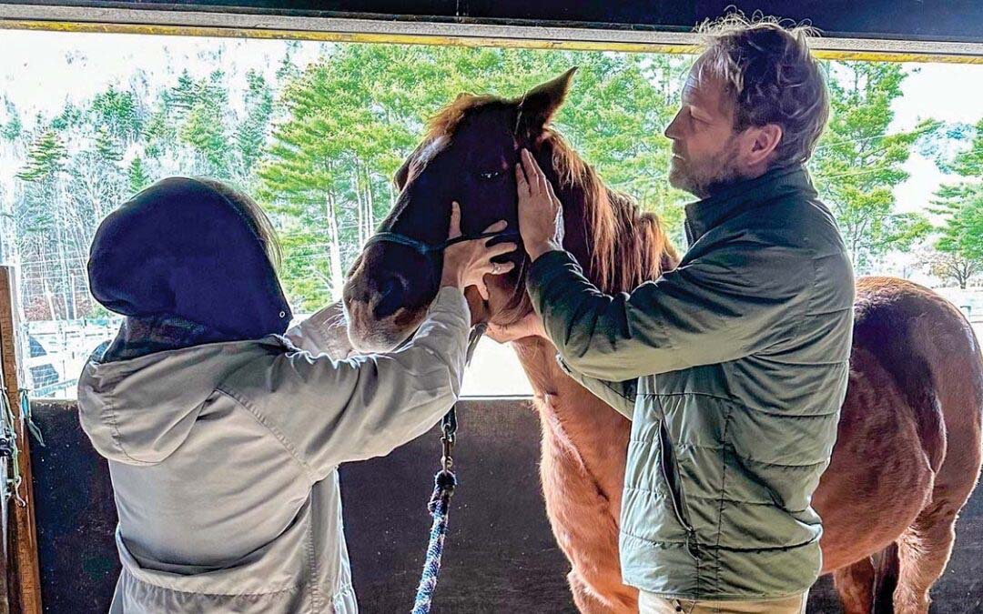 All Things Great and Small