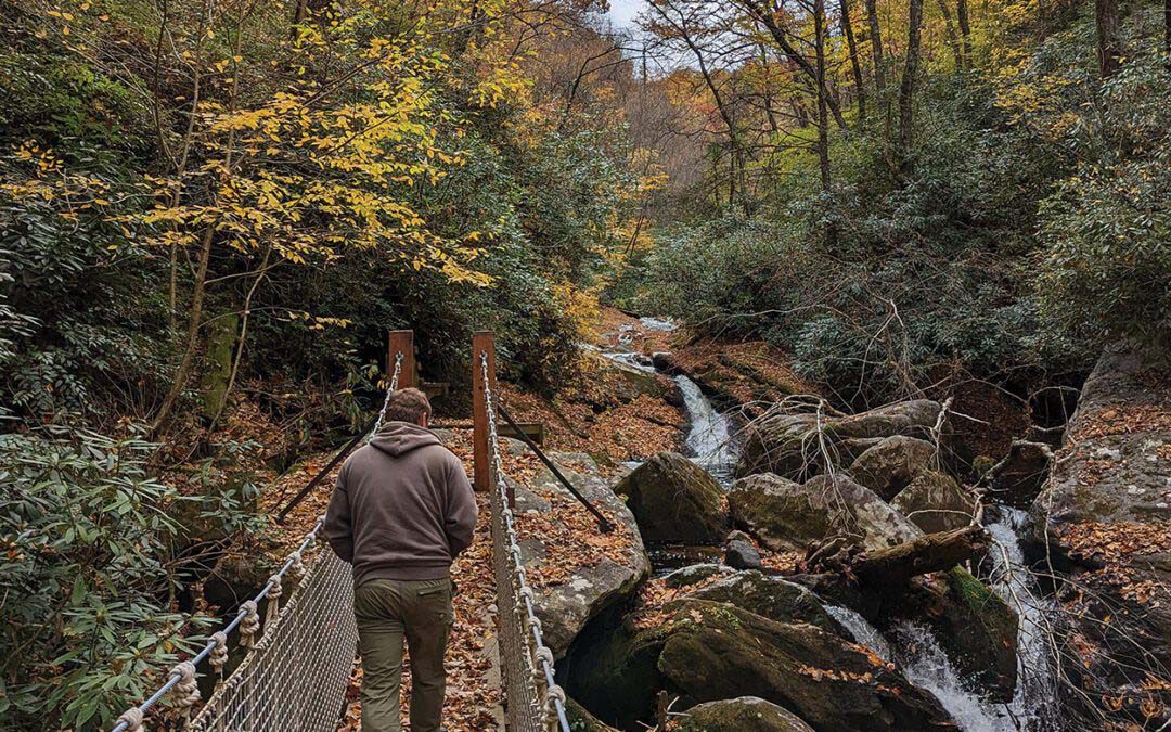 Addressing Nature Directly