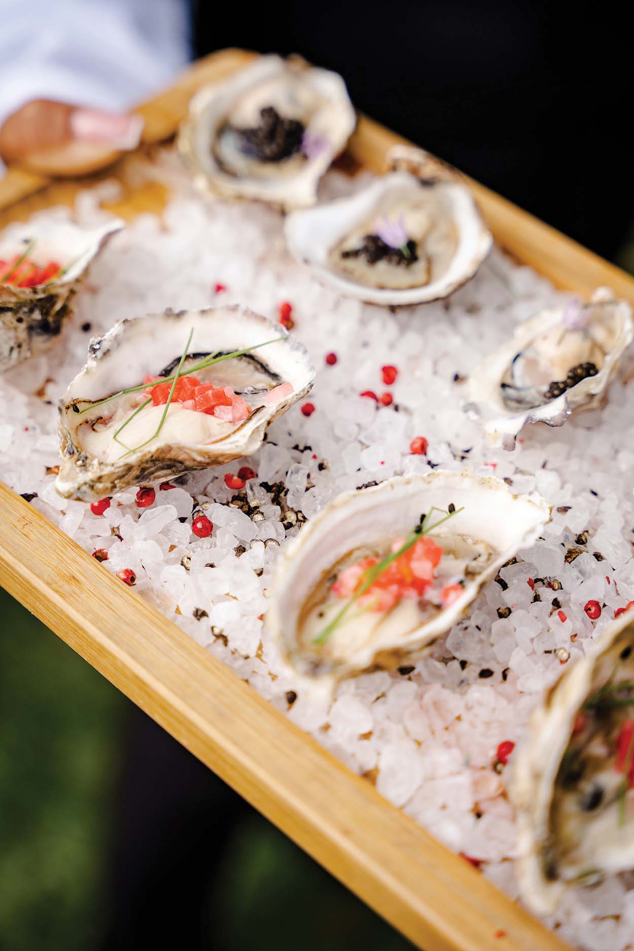 highlands-nc-chef-dinner-oysters