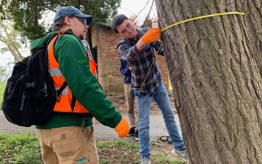 Hemlock Workshop at The Mountain Retreat & Learning Center
