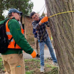 highlands-nc-mountain-retreat-hemlock-workshop-tree-measure