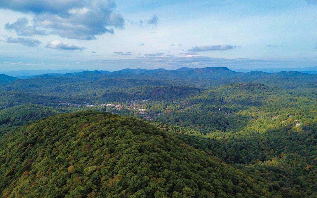 Protect Our Biodiversity Hotspot